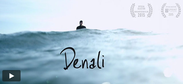 Denali: The Story of a Dog and His Best Friend